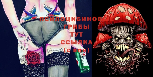 сатива Каменск-Шахтинский