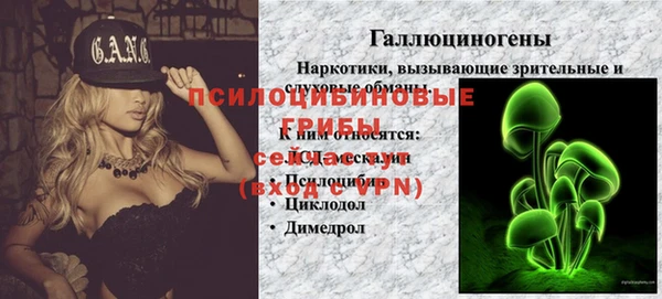 первитин Арсеньев