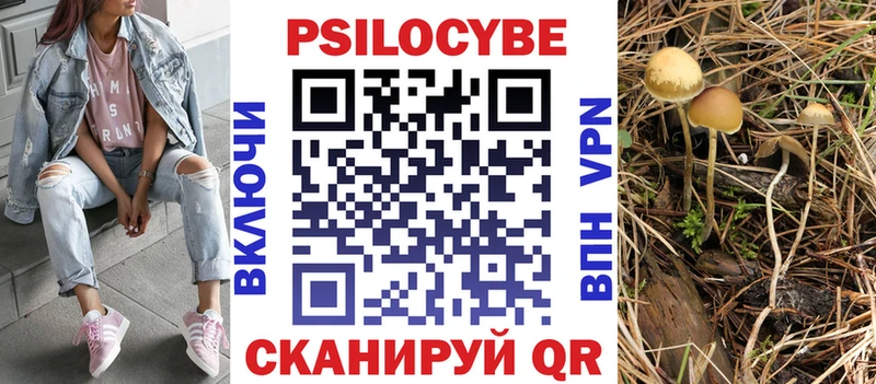 mega зеркало  Чудово  Псилоцибиновые грибы прущие грибы 